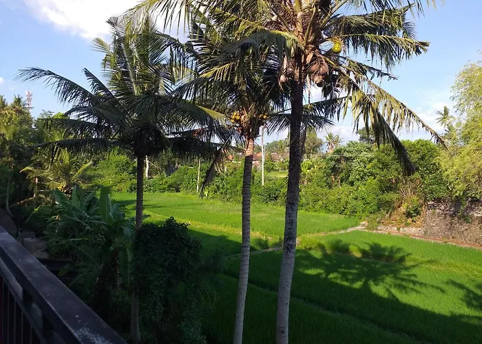 Arya 2* Ubud